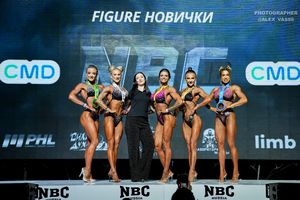 FIGURE НОВИЧКИ